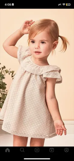 Embroidered Mesh Dress